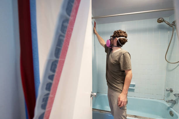 Trusted Loretto, PA Mold Removal Experts