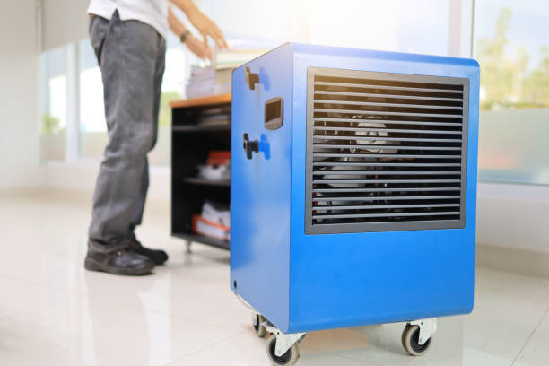 Best Basement Mold Removal  in Loretto, PA